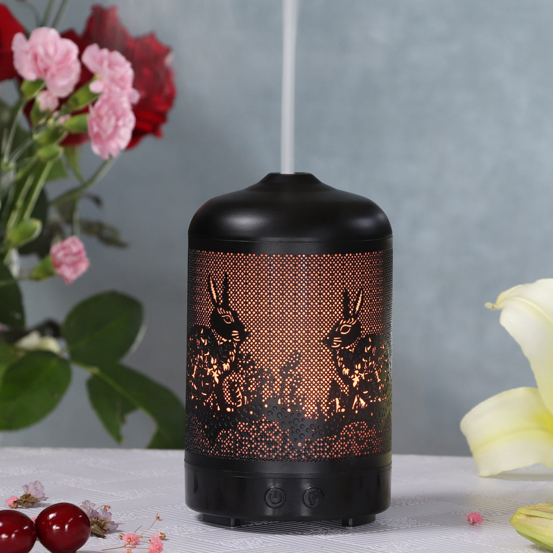 Iron Art Translucent Humidifier For Home And Office