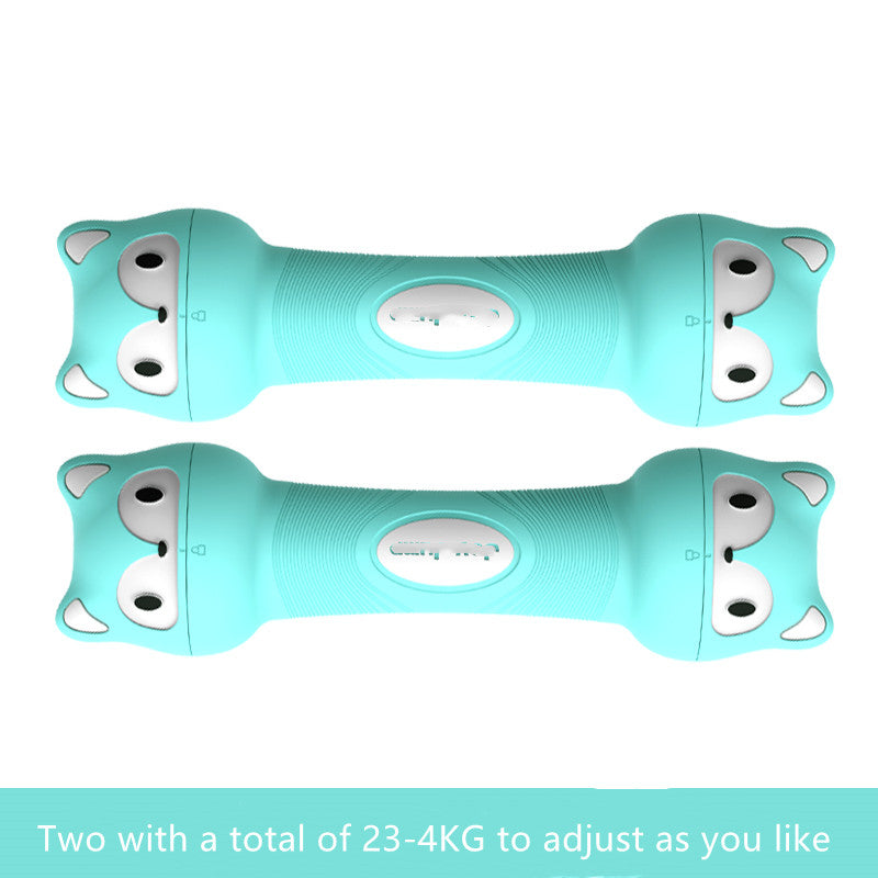 Lightweight Dumbbells For Women Home Fitness And Weight Loss
