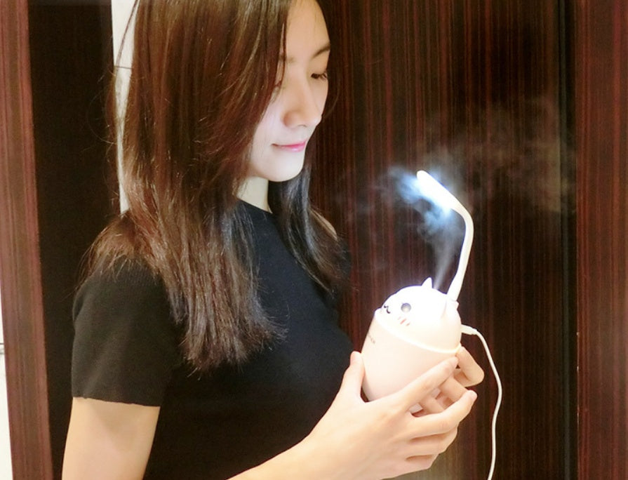 Meng Pet Cat-Shaped Humidifier For Home Use