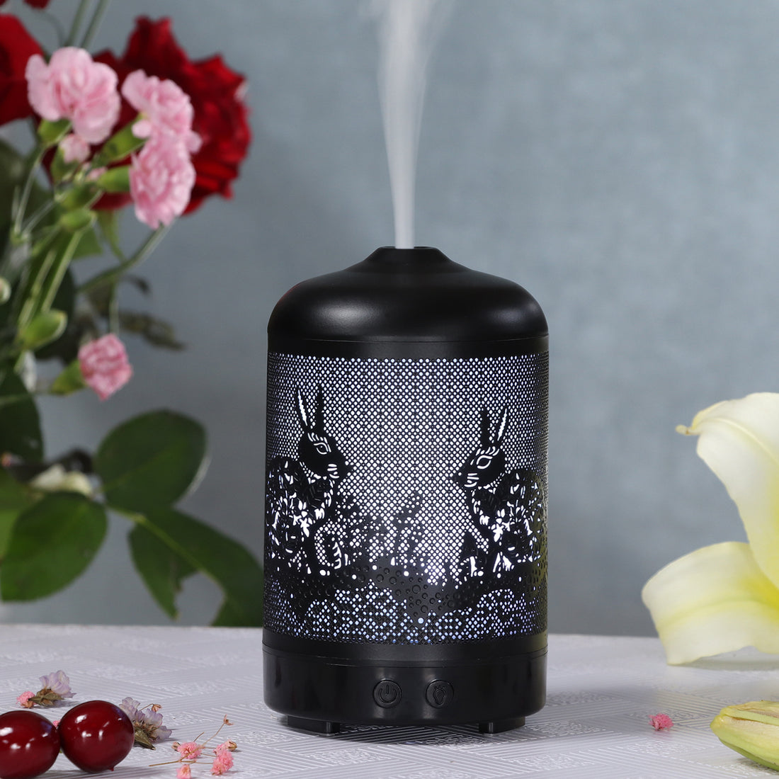 Iron Art Translucent Humidifier For Home And Office