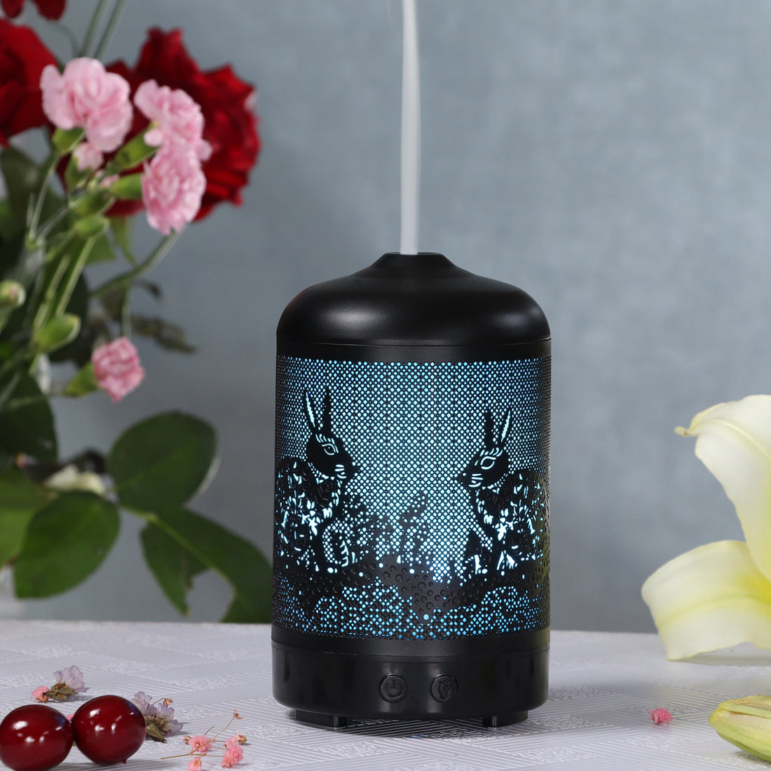 Iron Art Translucent Humidifier For Home And Office